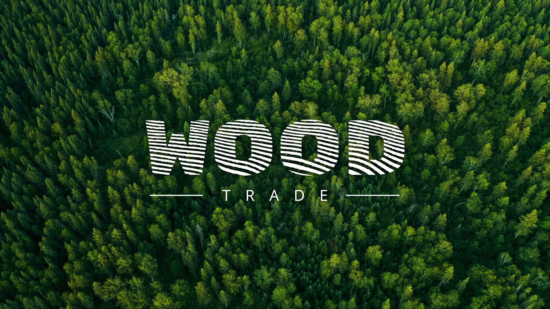 Разработка интернет-магазина компании «Wood Trade» в Куровском
